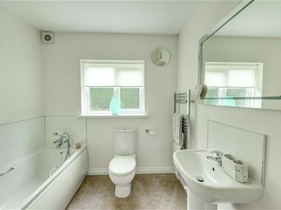 Picture 24